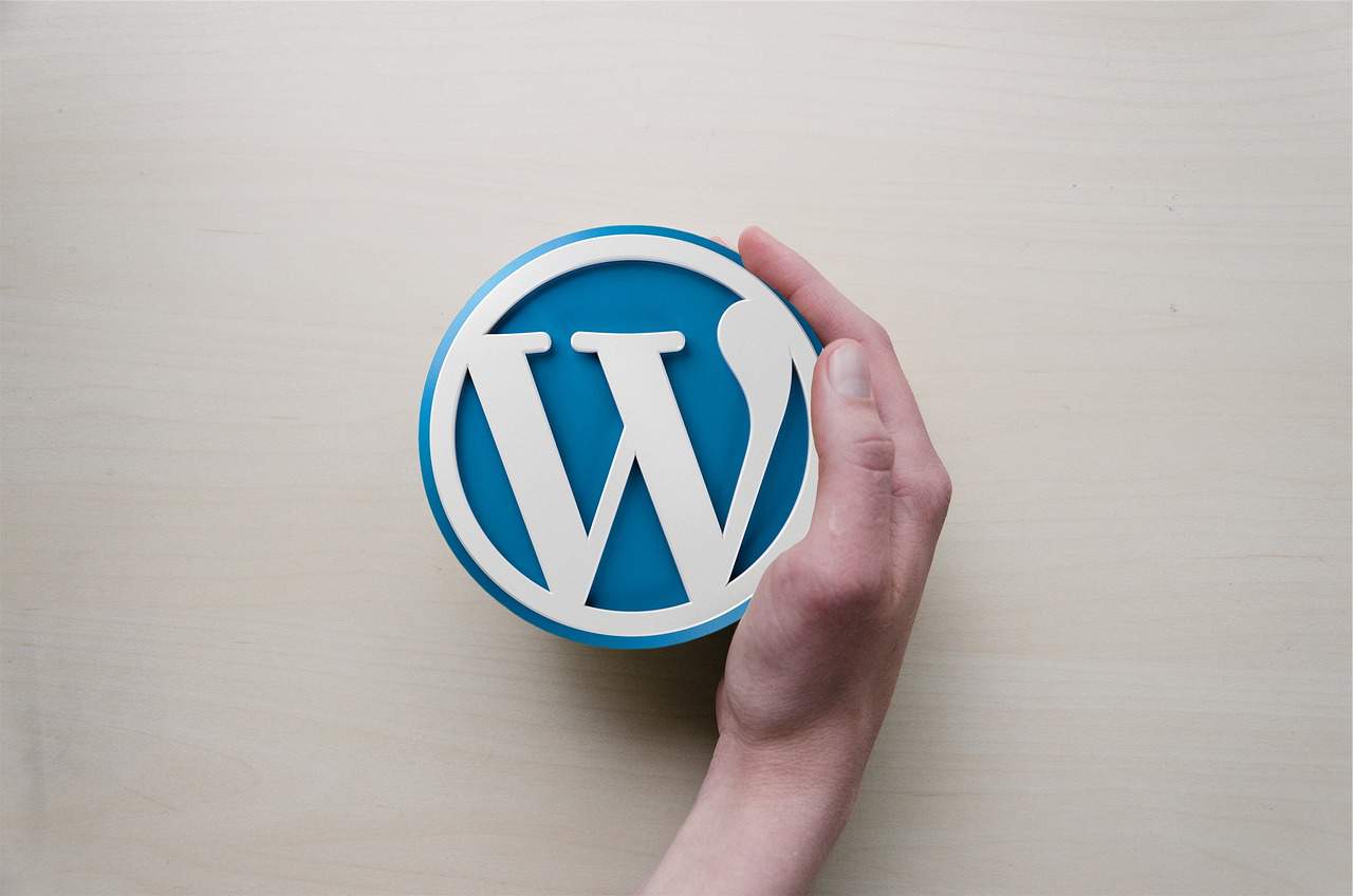 Consulente Wordpress | Esperto Wp | esperto Wordpress | Wordpress Specialist | Assistenza Wordpress
